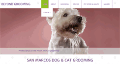 Desktop Screenshot of beyondgrooming.com